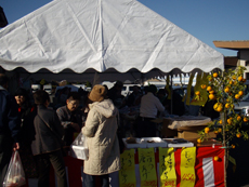 桐っこ市 写真1